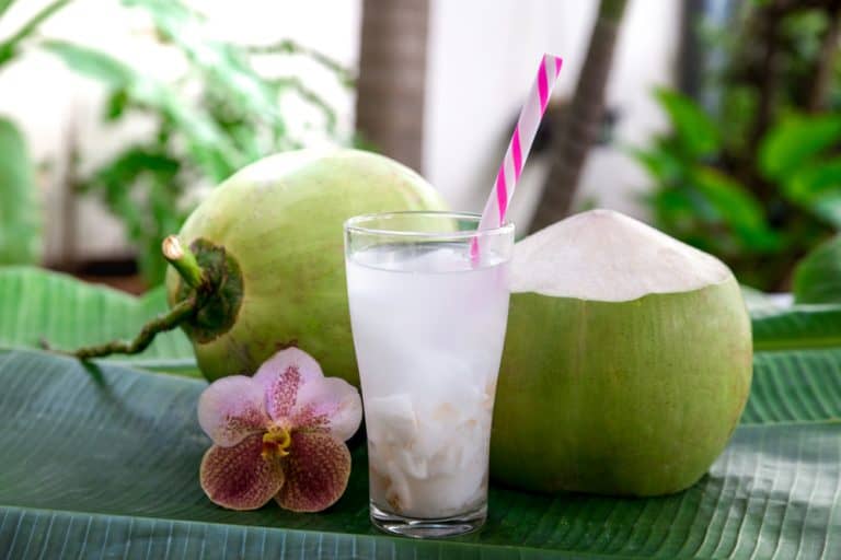 Manfaat Air Kelapa untuk Ibu Hamil, Cari Tahu di Sini | Good Doctor ...