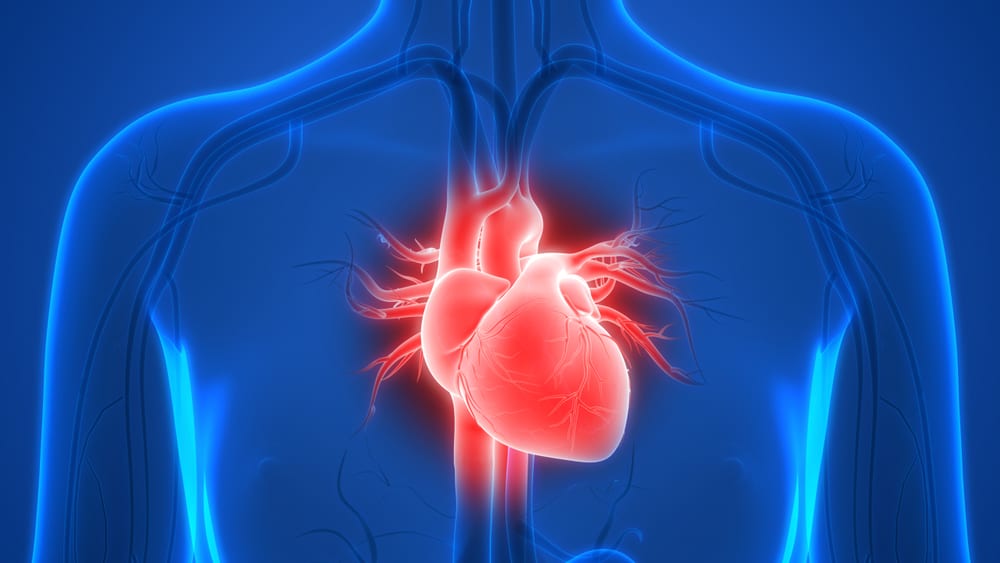 sakit dada sebelah kiri akibat kelainan otot jantung.