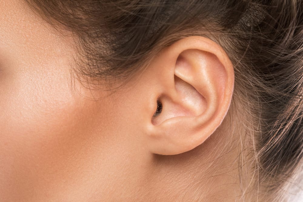 Bagian Bagian Telinga dan  Fungsinya  agar Bisa Dijaga Tetap 
