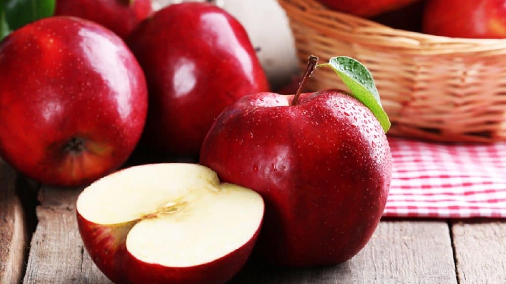 snack sehat apel