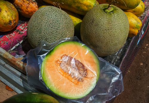 bakteri listeria pada melon