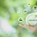 Tingkatkan Kinerja dengan Program Wellness untuk Karyawan