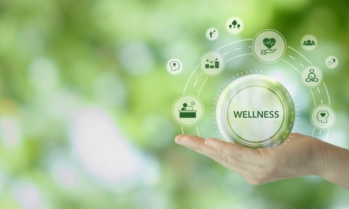 Program Wellness untuk Karyawan