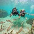 Pilih Scuba Diving Jadi Olahraga Rutin, Ini Manfaat Sehatnya dan Aturan yang Wajib Ditaati